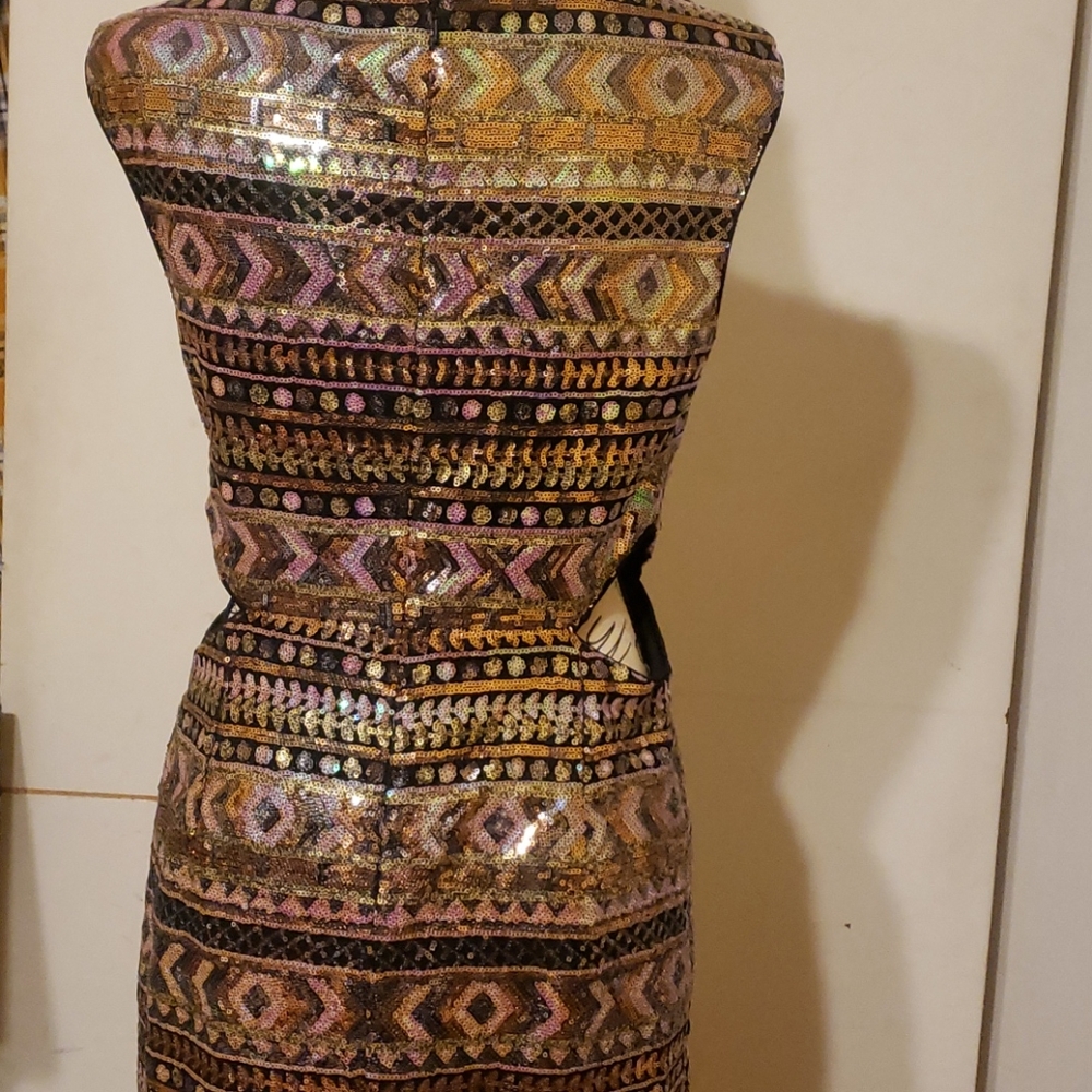 shinning dress